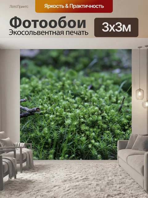 Фотообои Деталь