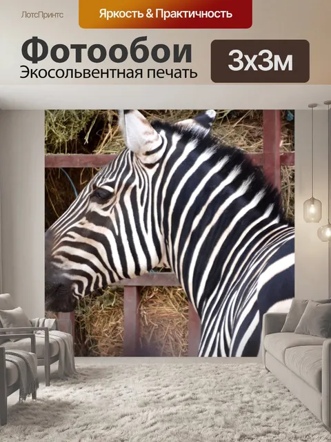 Фотообои Головы Зебры