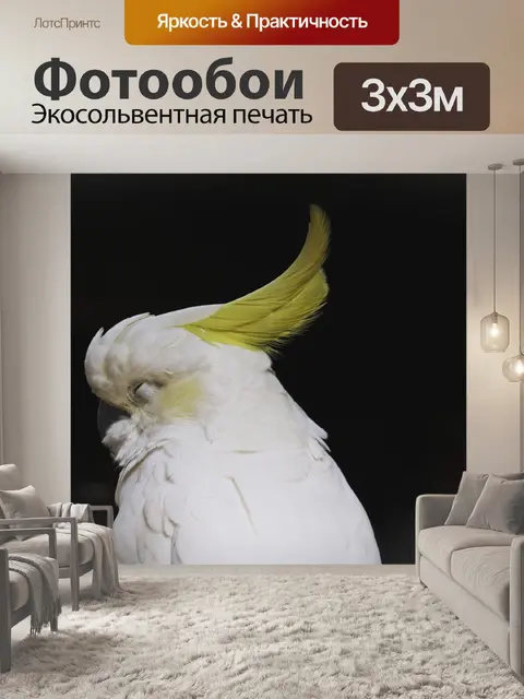Фотообои Какатоэ