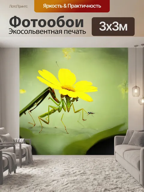 Фотообои на светлом зеленом фоне, желтый цветок, привлекающий насекомых, скрывает зеленого богомола, готового к атаке