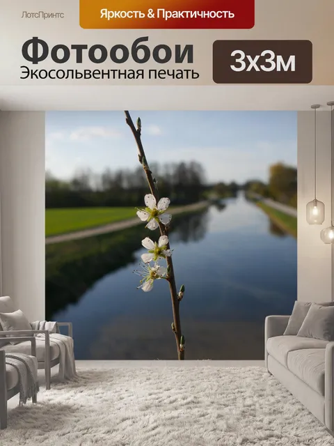Фотообои Ветвь