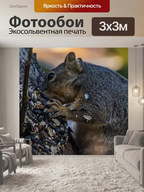 Фотообои Серая белка в еде дерева