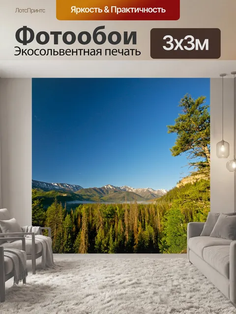 Фотообои Небольшой Туман над лесом
