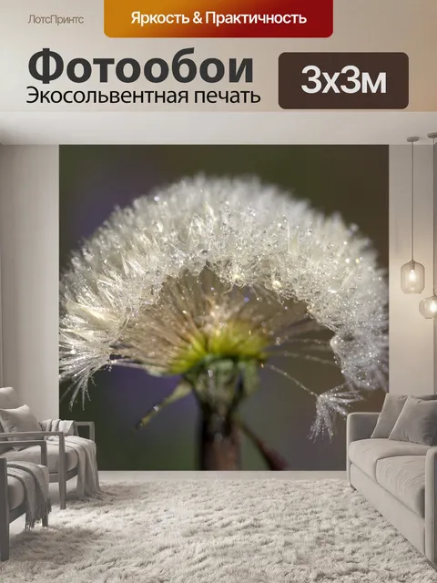 Фотообои Одуванчик