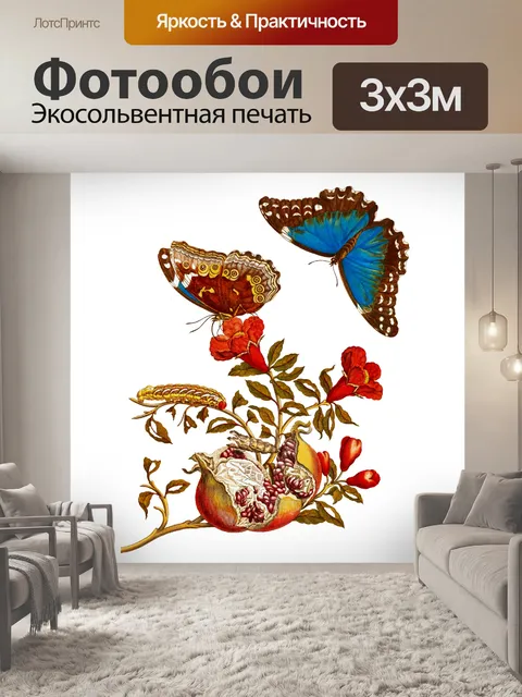 Фотообои Винтажный клипарт бабочка