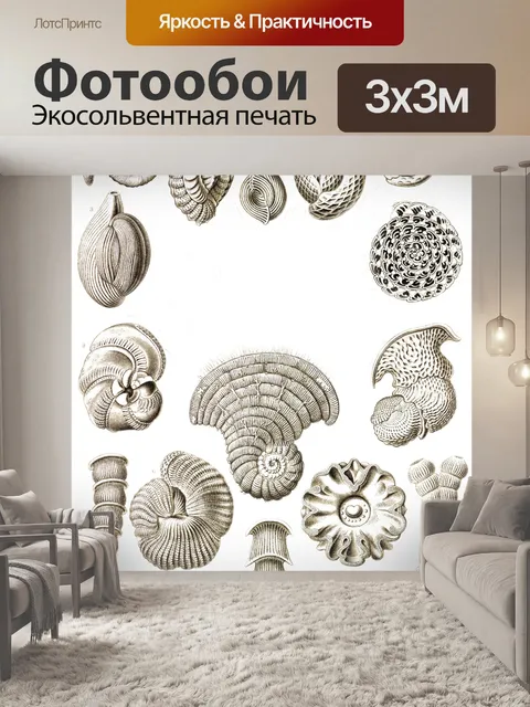 Фотообои Винтажная иллюстрация оболочки