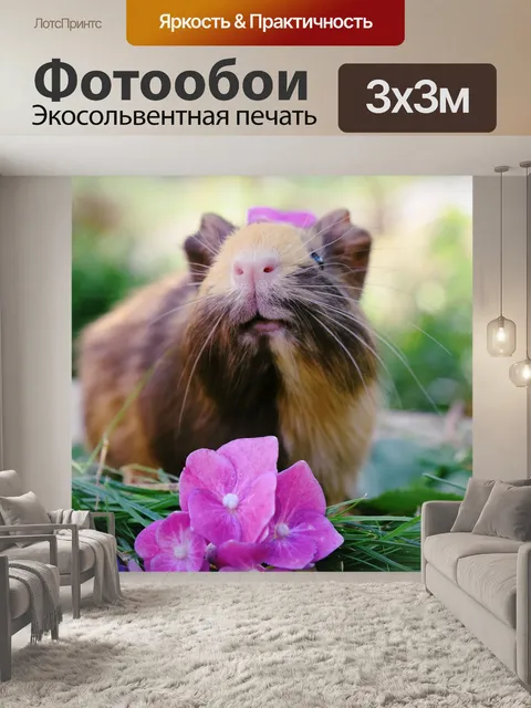 Фотообои Свинья