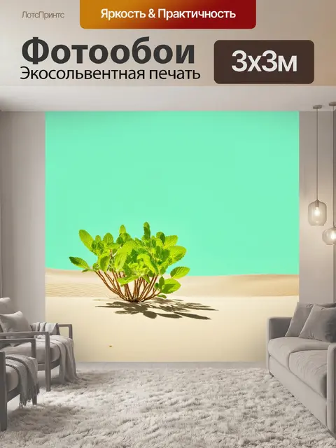 Фотообои мятный цвет, пустыня с мятными растениями, свет и тень, халат и спокойствие, заниматься саморазвитием и…