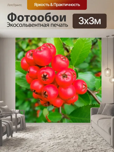 Фотообои Красные ягоды пираканты