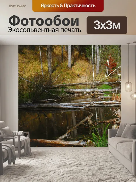 Фотообои Поваленные деревья
