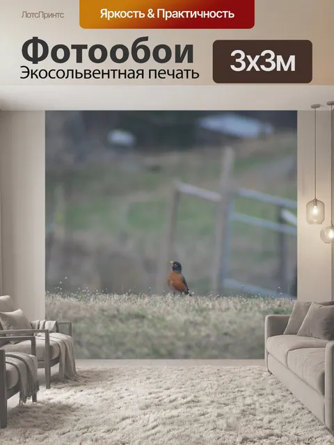 Фотообои Птица