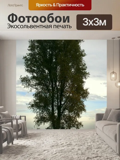 Фотообои Дерево