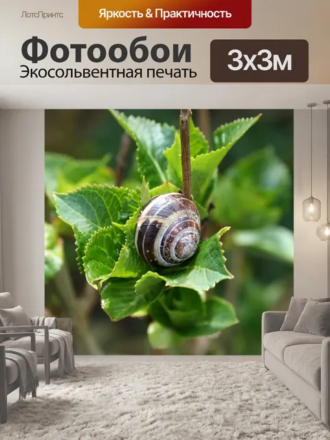 Фотообои Природа