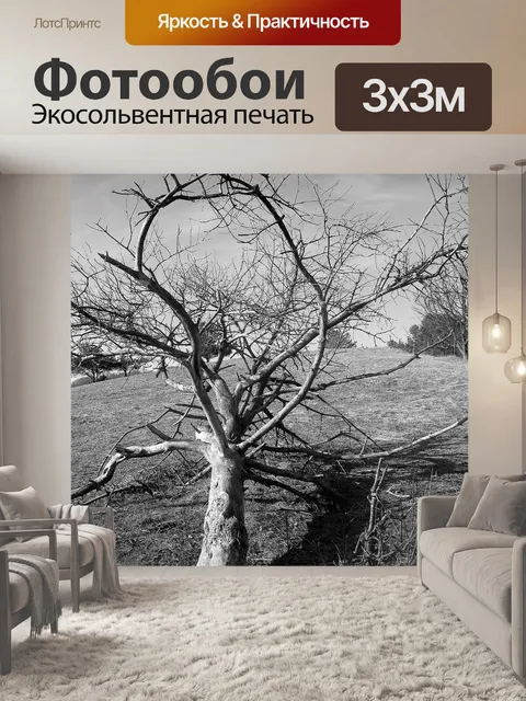 Фотообои Старое дерево