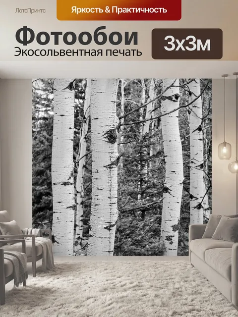 Фотообои Роща деревьев