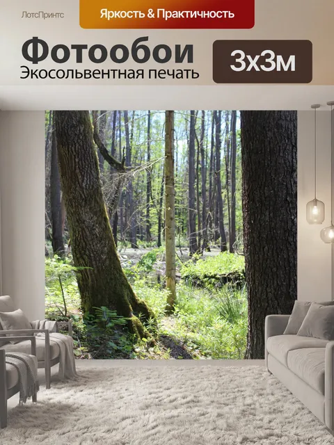 Фотообои Лес, Польша