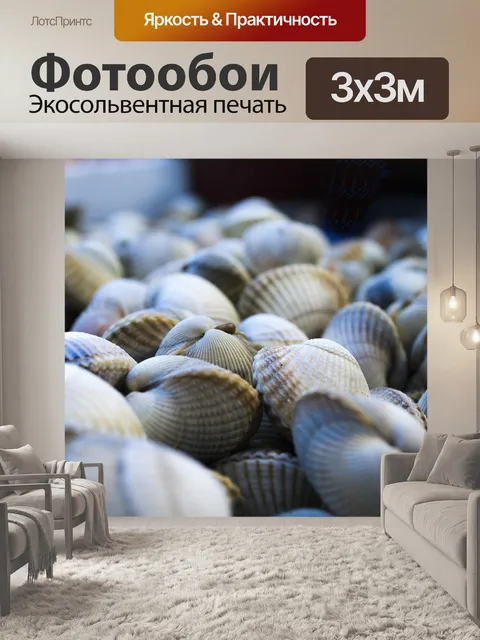 Фотообои Ракушки