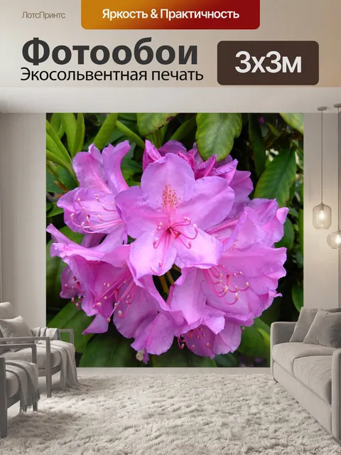 Фотообои Цвести