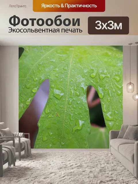 Фотообои Лист