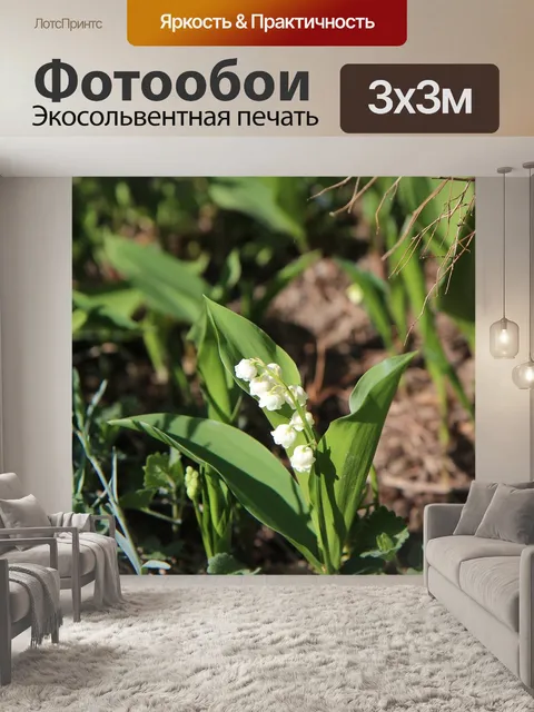 Фотообои Ландыш