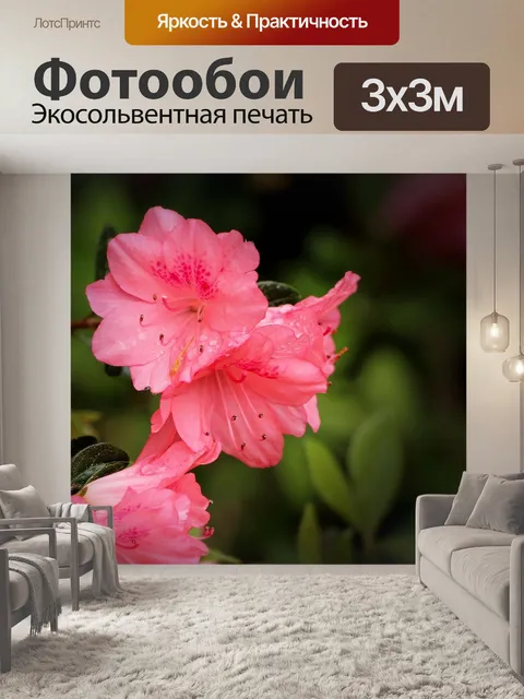 Фотообои Азалия коралловые колокола