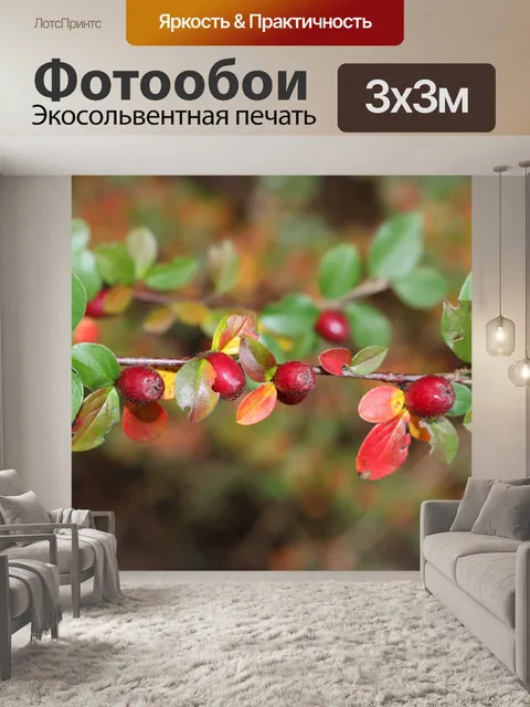 Фотообои Дикие ягоды