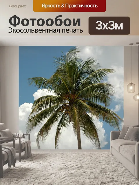 Фотообои Кокосовая пальма