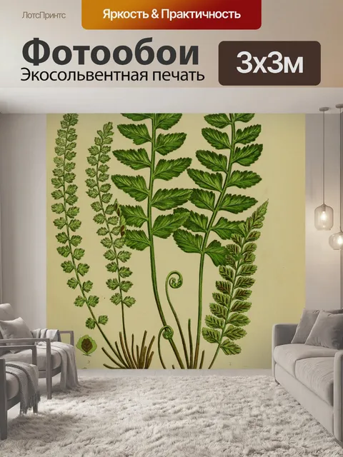 Фотообои Листья папоротника Селезенка Винтаж