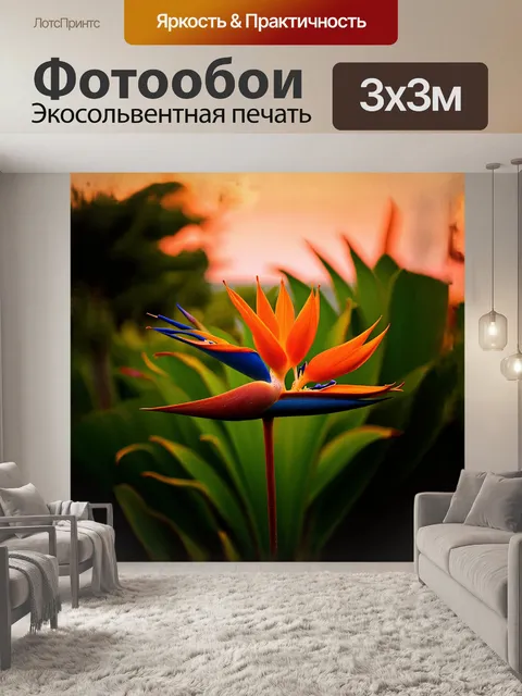 Фотообои в тёплом свете заката