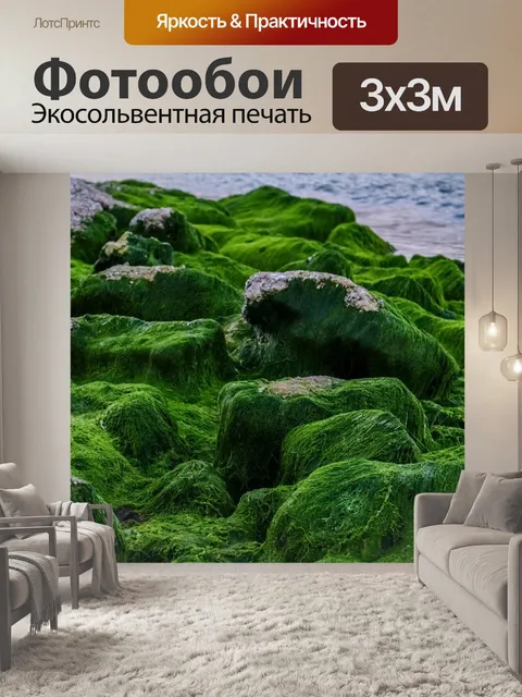 Фотообои Зеленый