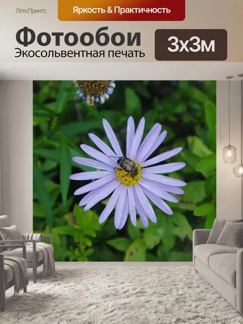 Фотообои Цветок