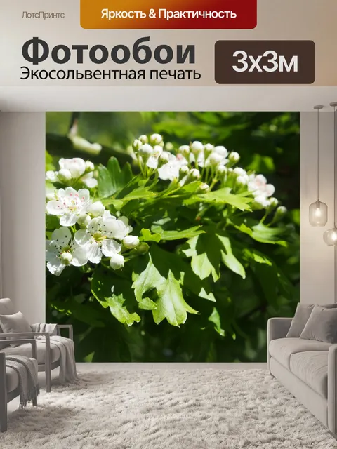 Фотообои Боярышник