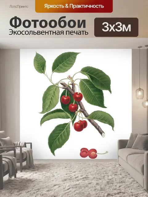 Фотообои Винтажный клипарт ветка вишни
