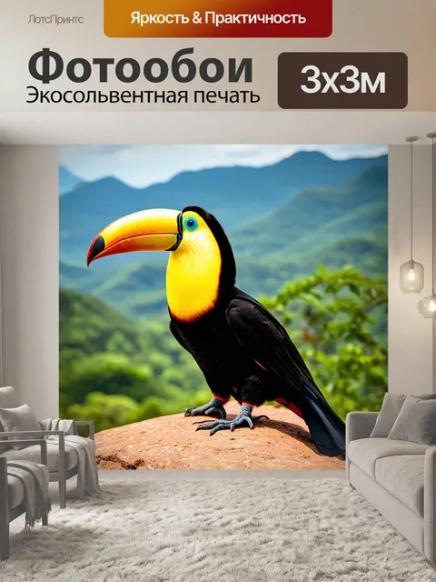 Фотообои тукан, сидящий на скале с видом на горы