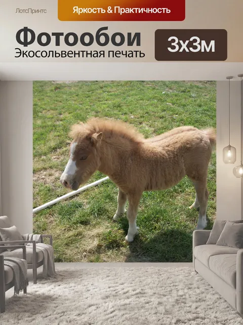 Фотообои Мини Horse 2
