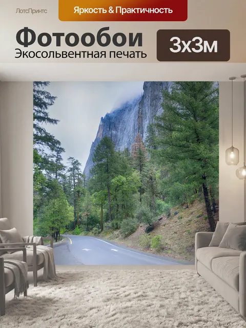 Фотообои Дорога в Национальный парк Йосемити