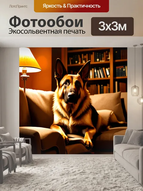 Фотообои старая немецкая овчарка на диване, окруженная книгами и теплым светом лампы, создает атмосферу домашнего уюта