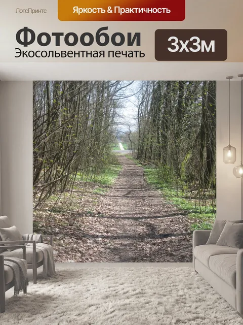 Фотообои Путь леса