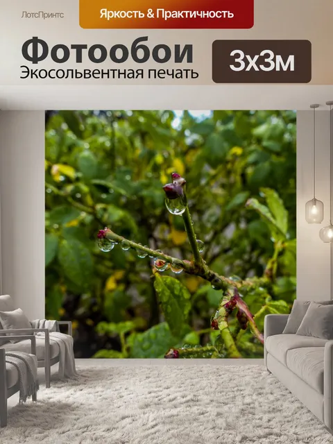 Фотообои Покрытые дождем розовые кусты