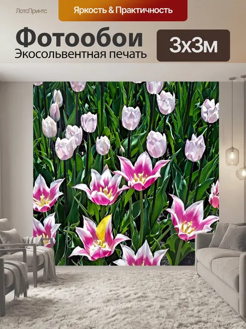 Фотообои Тюльпаны