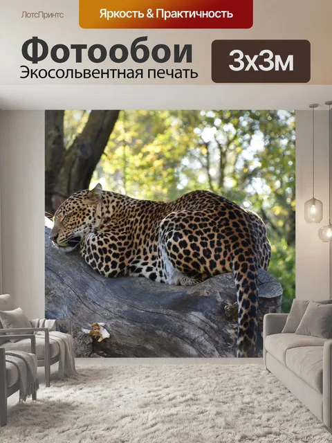 Фотообои Леопард