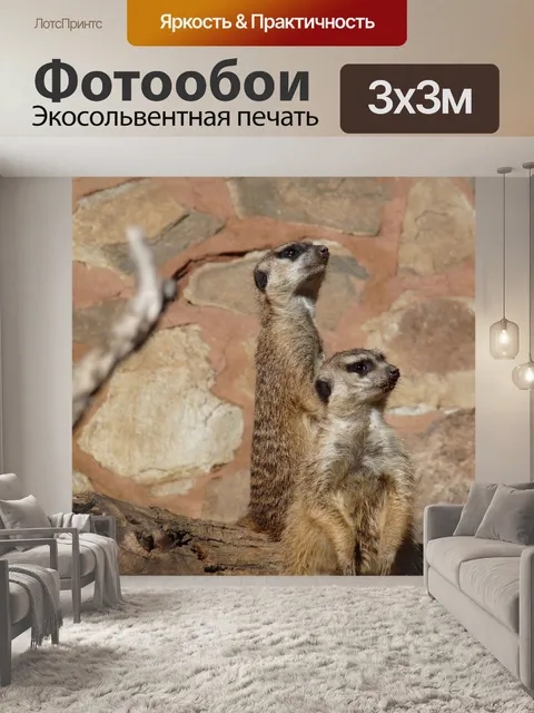 Фотообои Берегись