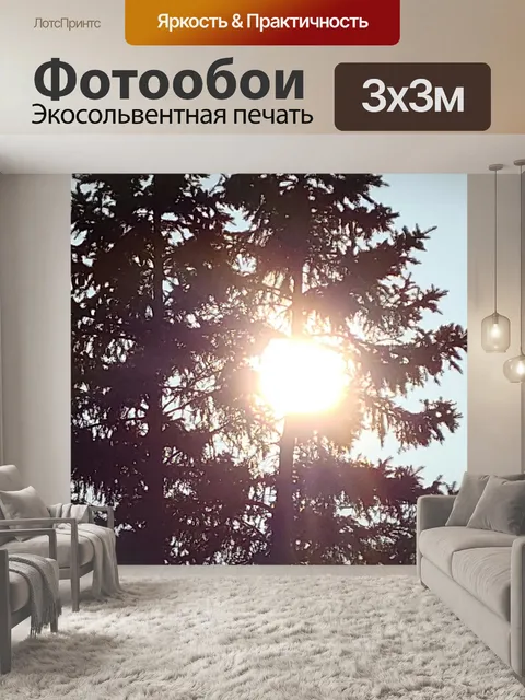 Фотообои Солнце в деревьях