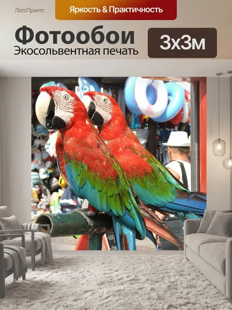 Фотообои Попугай