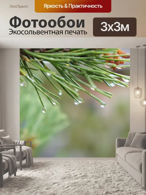 Фотообои Сосна