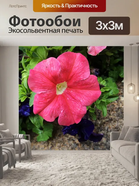 Фотообои цветок