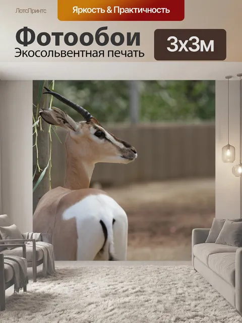 Фотообои Сафари