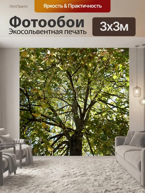 Фотообои Ветви деревьев зеленой листвой 05