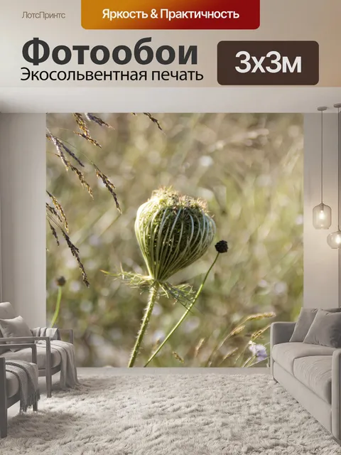 Фотообои Сорняки на закате