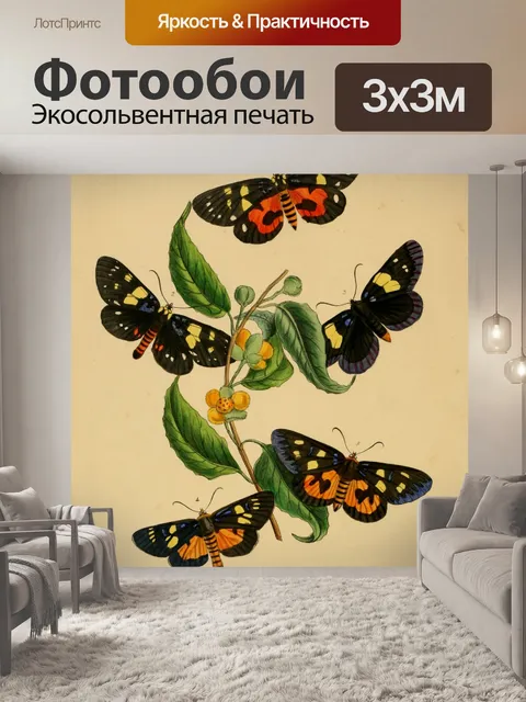 Фотообои Бабочки Винтажное Искусство
